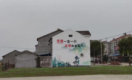宁南新农村墙绘